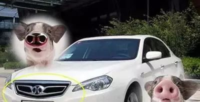 [車標資訊]全球最美車標，最