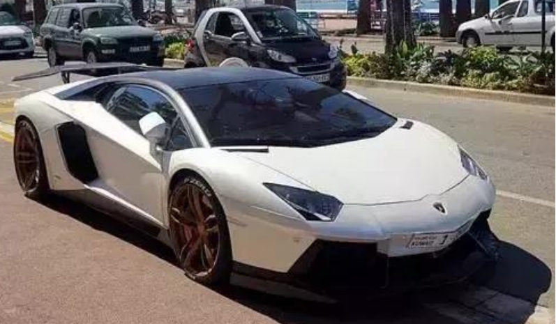 [車標(biāo)志]各款車標(biāo)好看排行榜