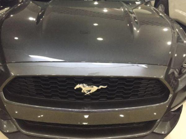 [車標(biāo)趣聞]用馬做車標(biāo)的四種