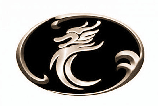 [車標新聞]敢用中國龍做車標