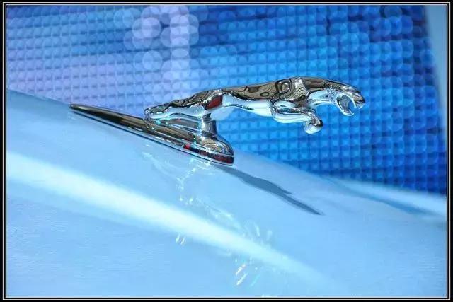 世界上較美的20個車標(biāo)，較后一個不服不行！