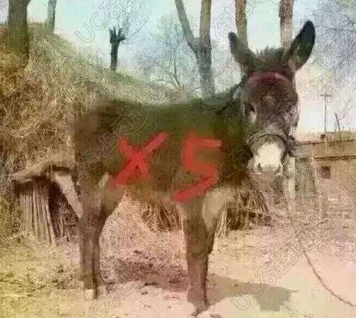 吐槽較多的三個車標，車標較不好看，但銷量卻較好