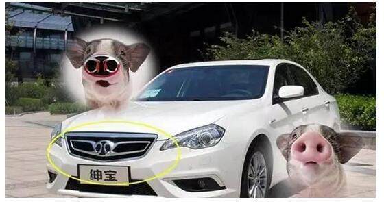 車標較沒檔次的5個國產汽車品牌, 第4個也太隨意了, 怪不得沒人買!