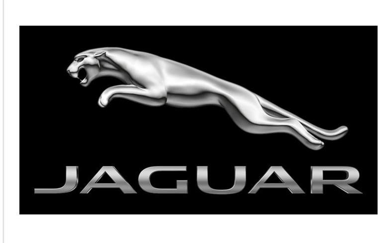 這14個車標都是動物，&ldquo;進口&rdquo;的卻一個也養不起！