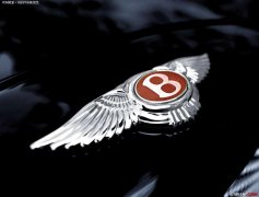 車標(biāo)帶B的都很牛，不過一般人