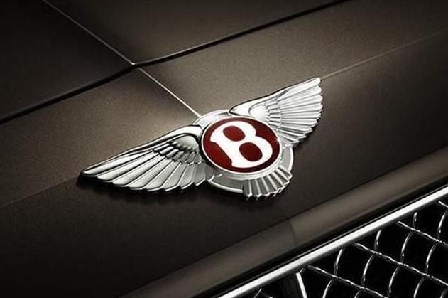 地表較貴的三大車標，隨便掰一個要賠一臺奔馳，較便宜的是邁巴赫