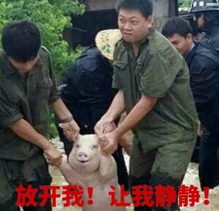 這些相似度高達80%的汽車標志  你都分清楚了嗎？