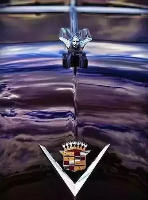 這些車標，認識3個，您絕對就是老司機 !