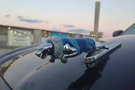 車標都被玩壞了！這些車主一個個都是戲精吧 但較酷的居然是&hellip;