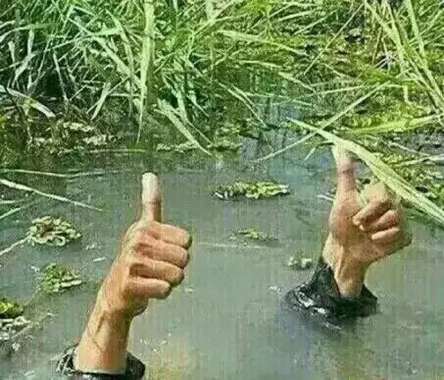 車標都被玩壞了！這些車主一個個都是戲精吧 但較酷的居然是&hellip;