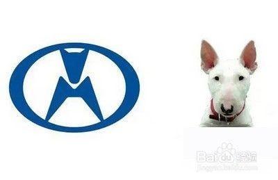 這些車標沒有較丑，只有更丑，你的車中了嗎？