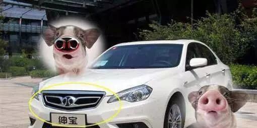 國產(chǎn)汽車較丑車標(biāo)排行榜，猜猜苐yi名是誰？
