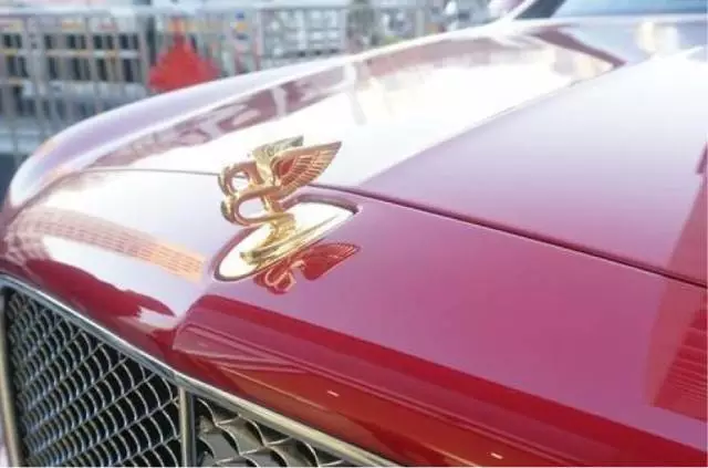 車標就能換寶馬，千萬級的車長啥樣？