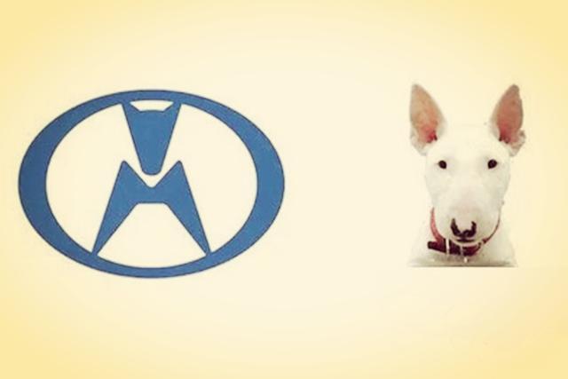 公認較丑的5個車標，第三個號稱男司機克星，第四個太像女性用品