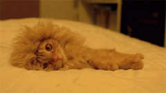 對這個看「臉」的世界異常絕