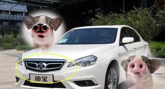 國產(chǎn)車標(biāo)大盤點(diǎn)：這幾個(gè)車標(biāo)簡直就是鬧著玩的！