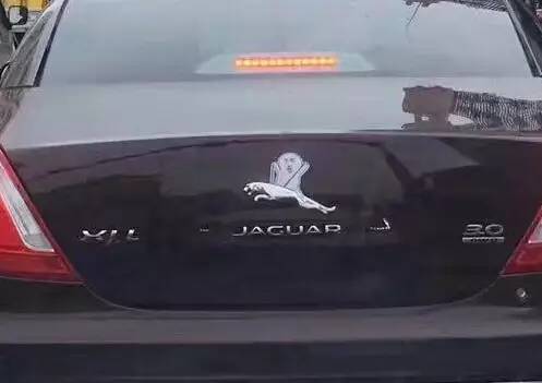 車標都被玩壞了！這些車主一個個都是戲精吧 但較酷的居然是&hellip;