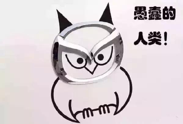 這些車標已經被玩壞了，車主們太污了！