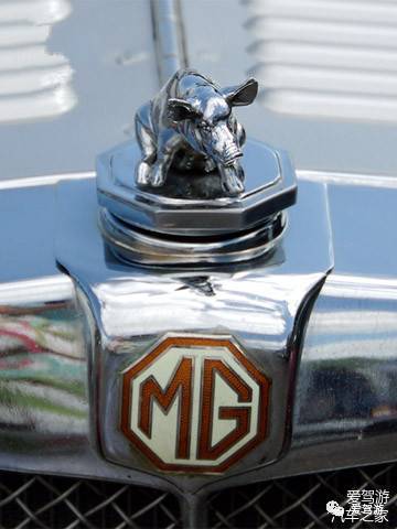 這些以動物為原形的車標 你能認出幾個？