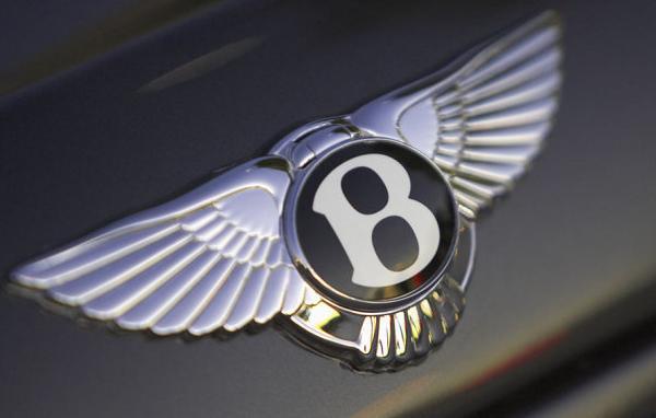 全球六大較美車標：五菱蝙蝠標墊底，苐yi還沒上市就火了！