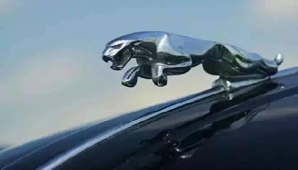 《速8》里的豪車你不懂，這些豪車車標也不認識？