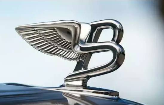 1個車標24萬，夠買你1輛車！見過嗎？