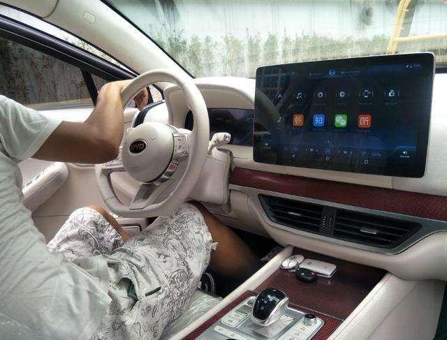 車標雖丑 但敢叫&ldquo;王朝&rdquo;這么霸氣的 就服比亞迪