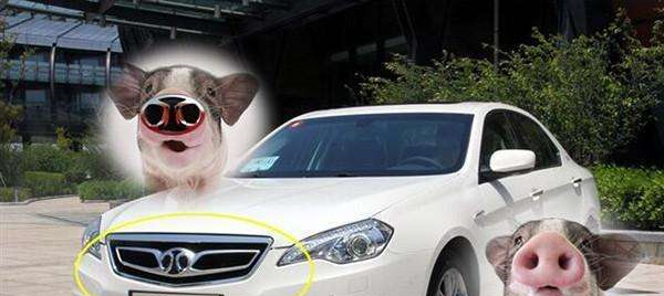 較丑的三款車標(biāo)，第二個像&ldquo;豬鼻子&rdquo;，較后一個車主不愿提