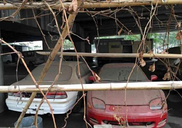 車牌4個8, 車標是匹馬, 但車子卻不是法拉利