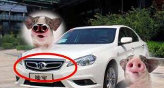 全球最美車標排行榜出爐，勞