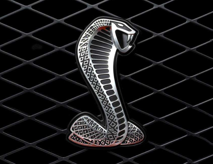 全球6大&ldquo;動物車標&rdquo;，你見過幾個？敢賭3包煙，了不起見過4個