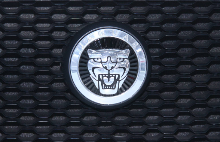 全球6大&ldquo;動物車標&rdquo;，你見過幾個？敢賭3包煙，了不起見過4個