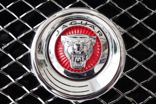 全球6大動物車標, 苐yi個價值連城, 較后2個無人知