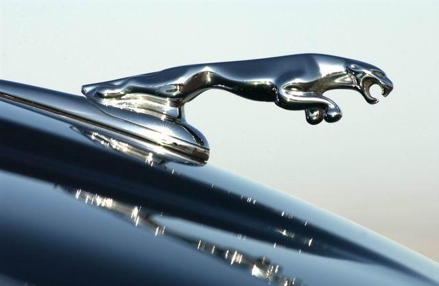 全球7大動物車標(biāo)，我只見過5個，你見過幾個？