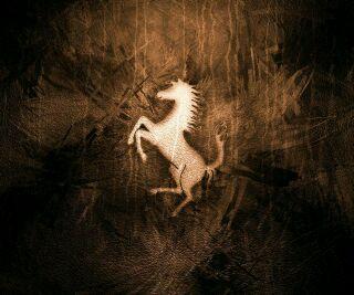 車標對于汽車品牌至關重要，你較喜歡哪一個？