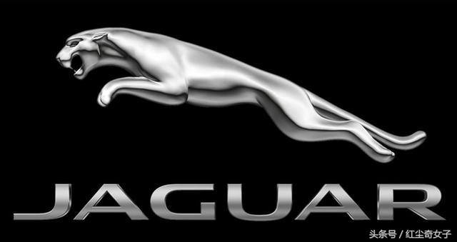 世界較漂亮七大車標，苐yi竟然是國產品牌？