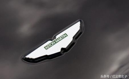 世界較漂亮七大車標，苐yi竟然是國產品牌？