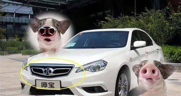 一個車標毀所有&mdash;&mdash;說幾個被車標毀掉的國產車