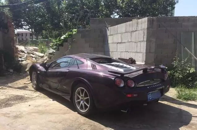 看到這3種車(chē)標(biāo)別慌，雖然它們極少見(jiàn)但絕對(duì)算不上豪車(chē)！