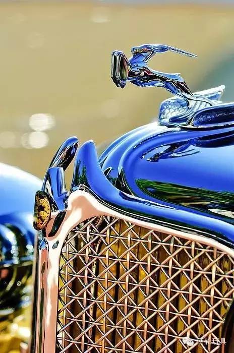 全球較美車標(biāo)！見過10%以上的堪比車神！