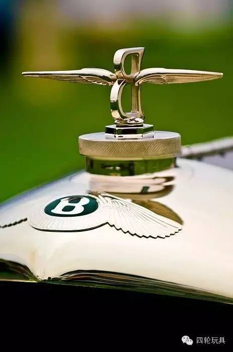 全球較美車標(biāo)！見過10%以上的堪比車神！