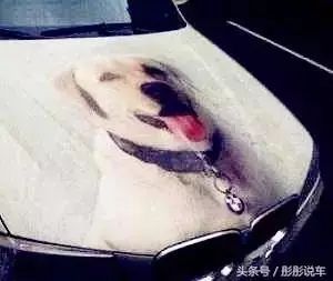 汽車標(biāo)志您認出多少？全認識算老司機，新手遠離后4個！