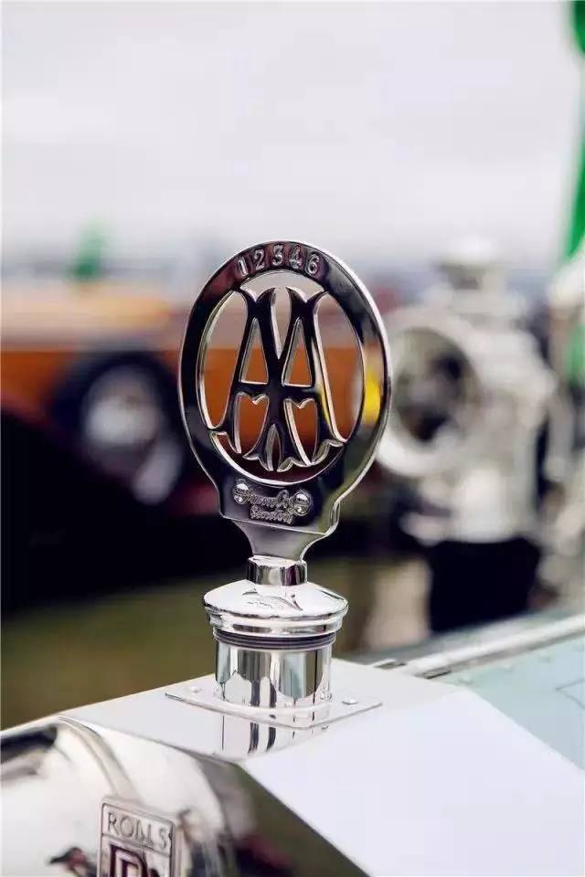 全球較罕見的汽車標志，都見過算你牛！