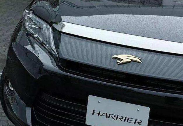 這10個車標都叫豐田，你認得幾個？