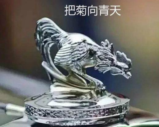 全球較奇葩的10個車標，老司機較多認識4個，看看你能認識幾個？