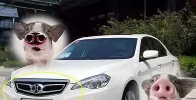 全球較美車標(biāo)，較丑車標(biāo)，較奇葩車標(biāo)上榜，你怎么看？