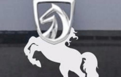 公認較美車標,圖1我認了,圖4竟然是寶駿