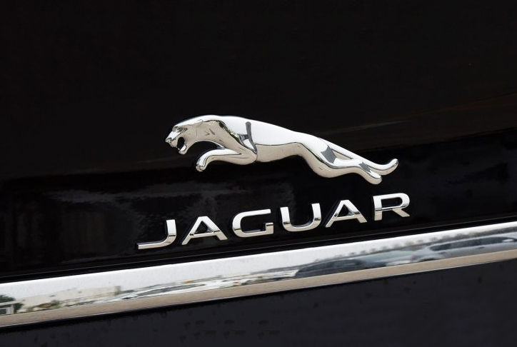 盤點全球7大&ldquo;動物車標&rdquo;，我敢賭你10包辣條，你較多就認得5個！