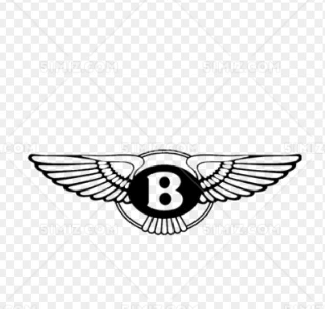 如果你能認全這10個車標，那你就是老司機