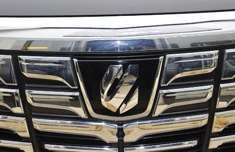 你知道嗎，其實(shí)豐田有10種車標(biāo)，認(rèn)識(shí)5種以上才算是老司機(jī)